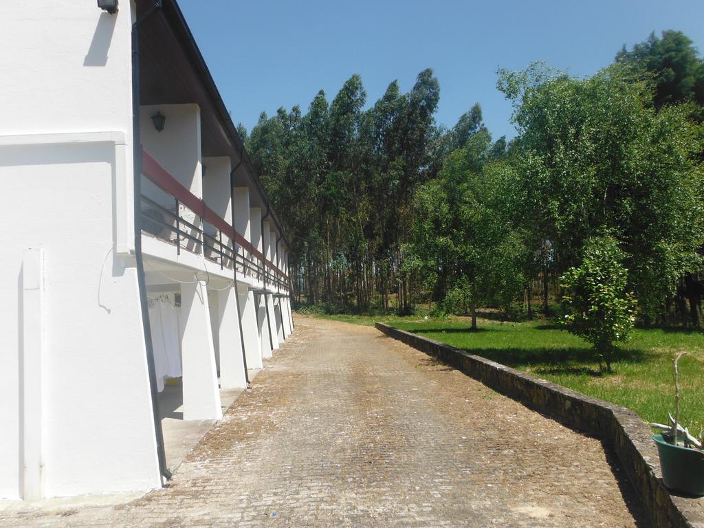 Hotel Alameda Albergaria-a-Velha Bagian luar foto
